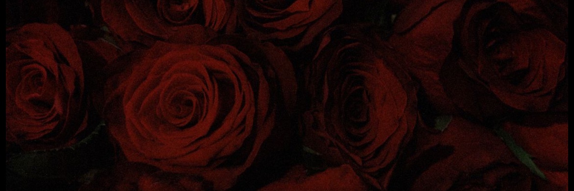 jadeamrii's profile banner image