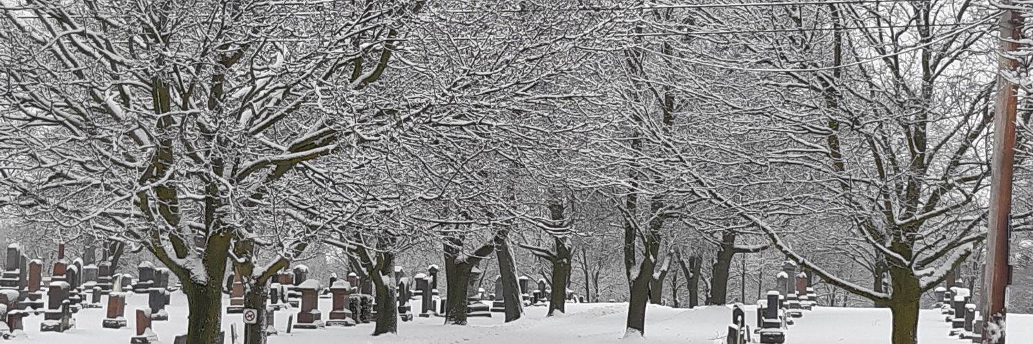 jen_allore's profile banner image