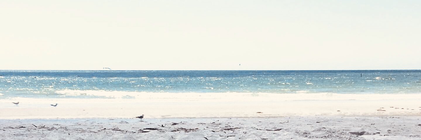 m_laraee97's profile banner image