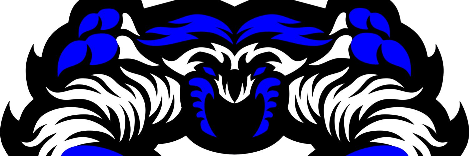 Syracuse Baseball Club banner