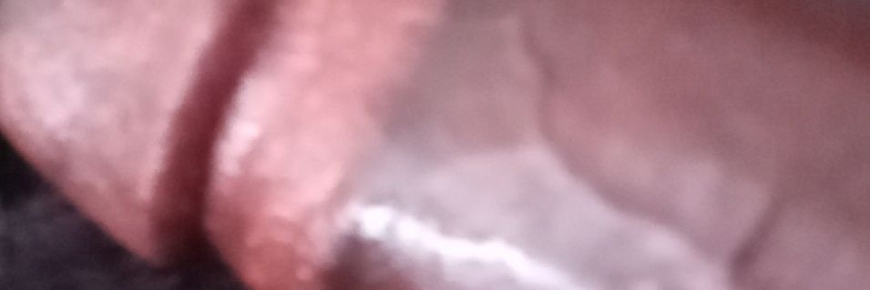 9TruBackBlower7's profile banner image
