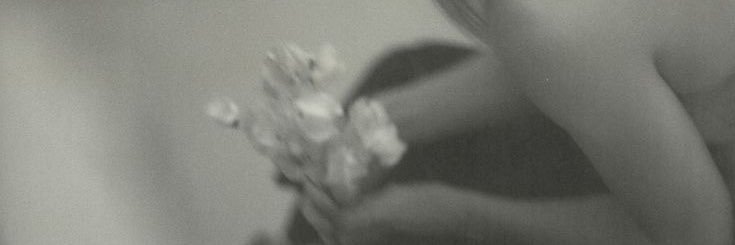 evermorepoems's profile banner image
