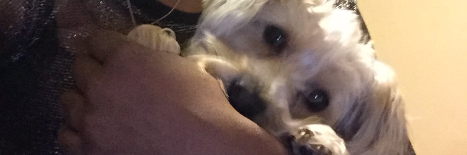 CieraW__'s profile banner image