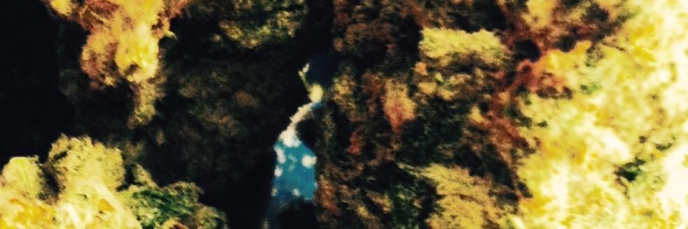 BrickB_'s profile banner image