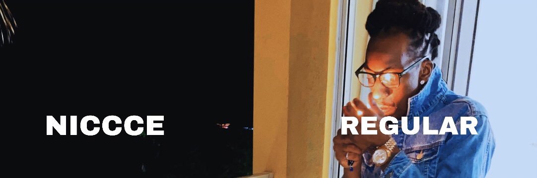 Niccce RealLife banner