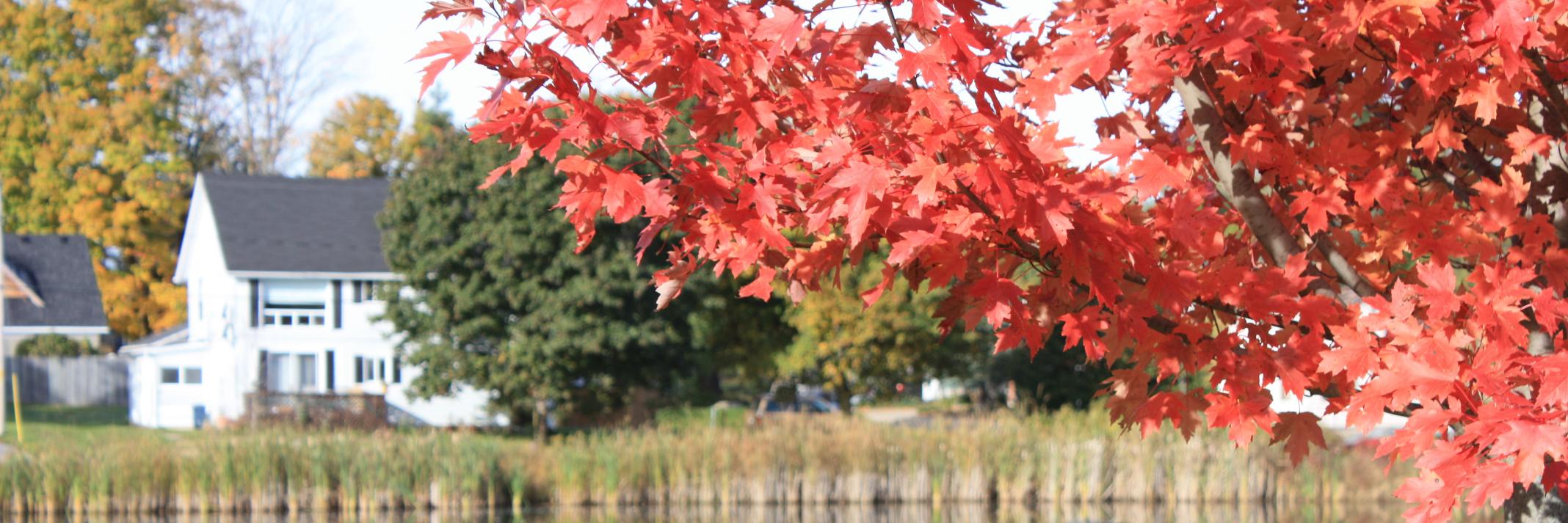 KathyClulow's profile banner image