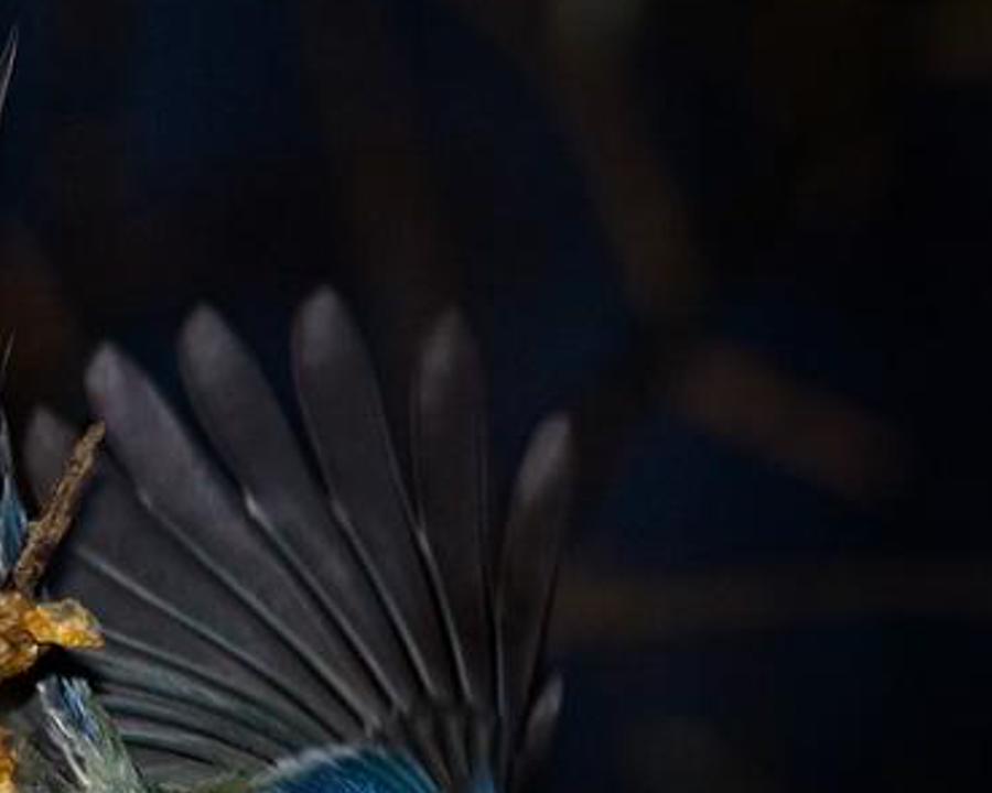stilole's profile banner image