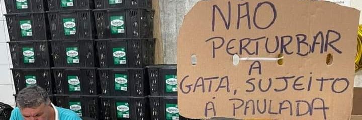 pqluqui's profile banner image