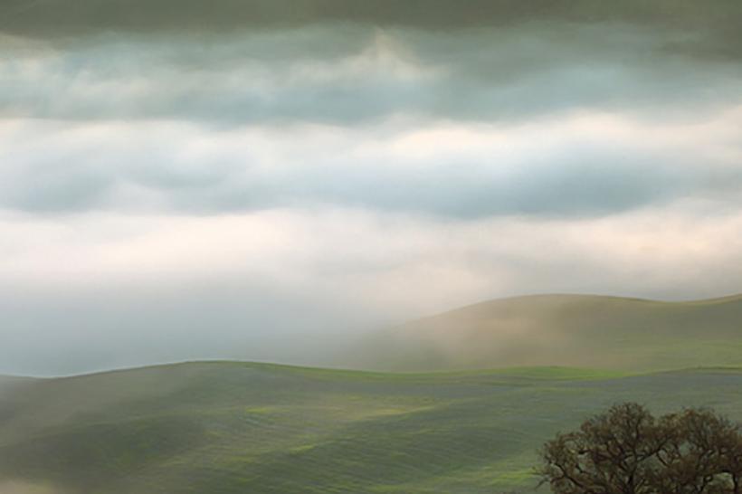 staeft's profile banner image