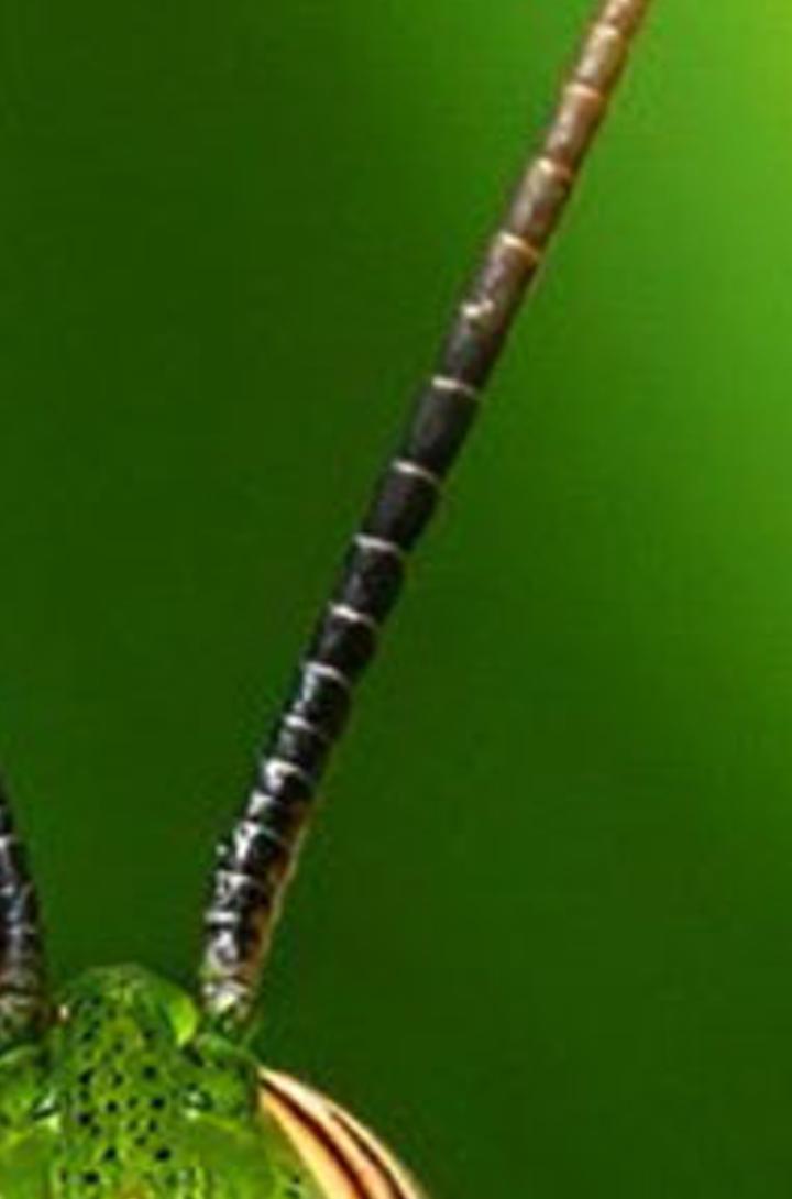sesstered's profile banner image