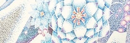 hositokage's profile banner image