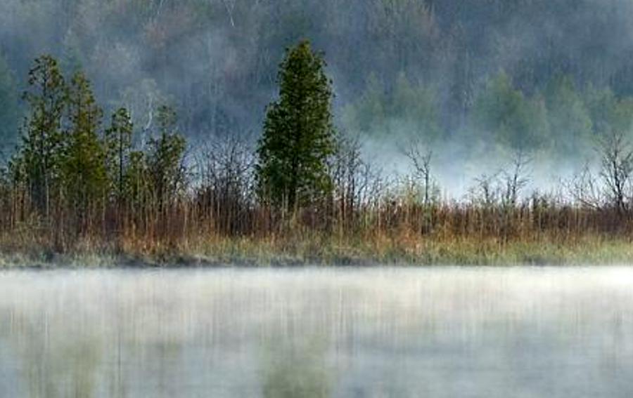 oleracyc's profile banner image