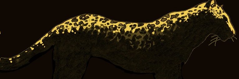 MutiriNdagi's profile banner image