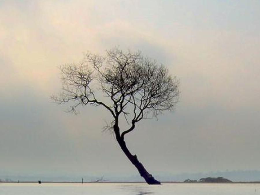 istrergear's profile banner image