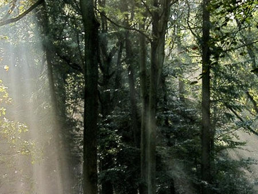 ustlcun's profile banner image