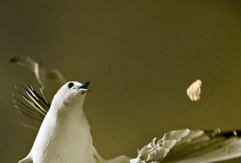 uercsal's profile banner image