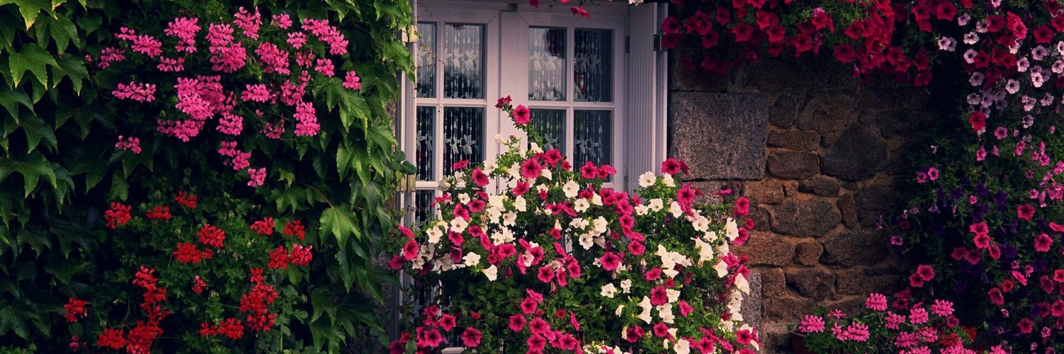 Sweet_candy_17's profile banner image