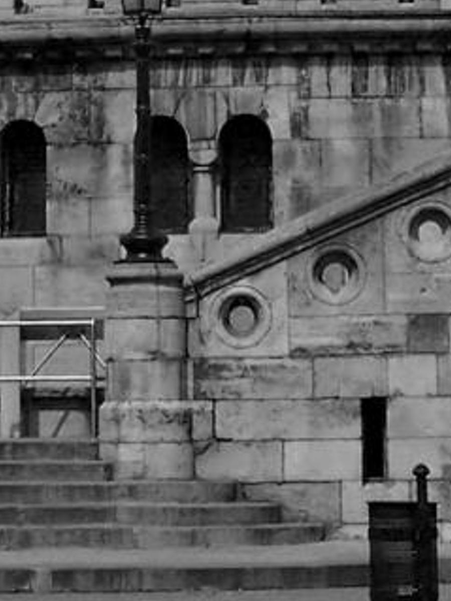 exiouspunicum's profile banner image