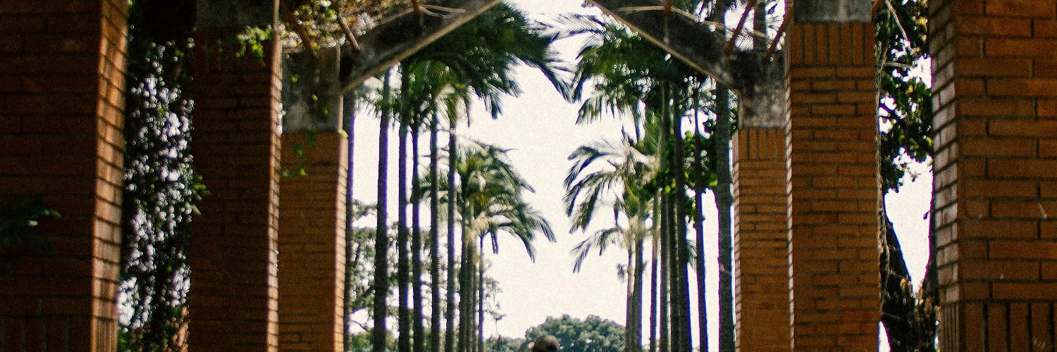 betlpolt5's profile banner image