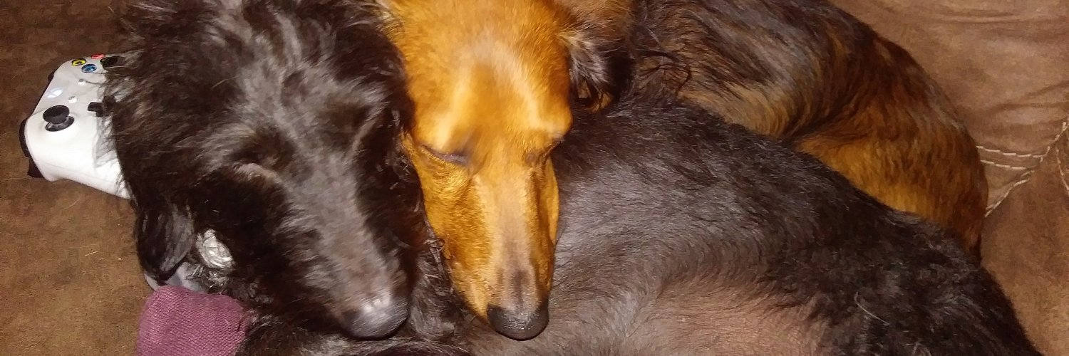 yankeemonk's profile banner image