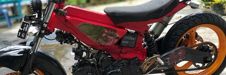ris banner