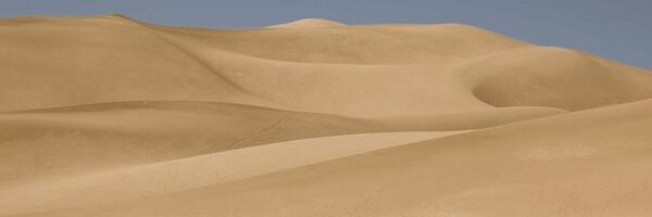 reedm Profile Banner