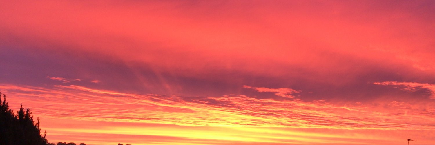 David Kavanagh banner