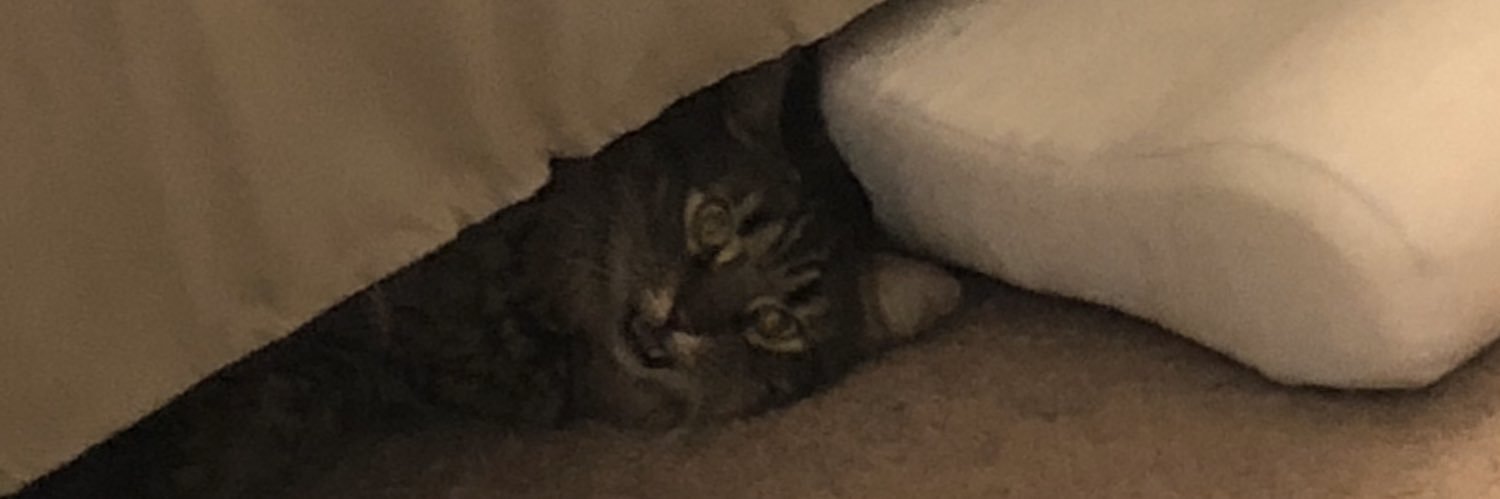 Charlieh81's profile banner image