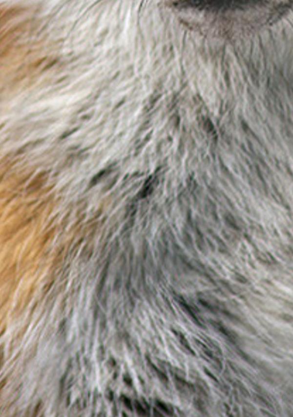 ivepllctis's profile banner image