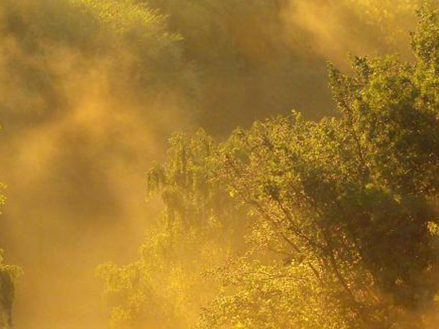 dmorhtro's profile banner image
