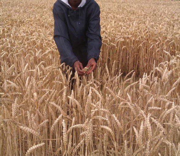 Funmi Ladejobi banner