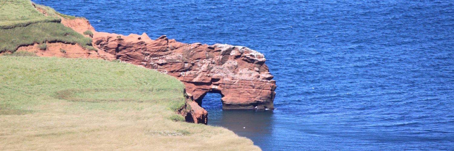 Nathan Benson banner