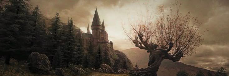BGul92's profile banner image