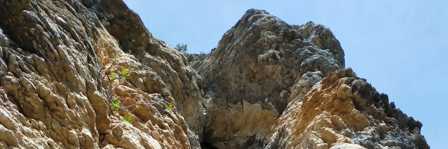Laiaprzb's profile banner image