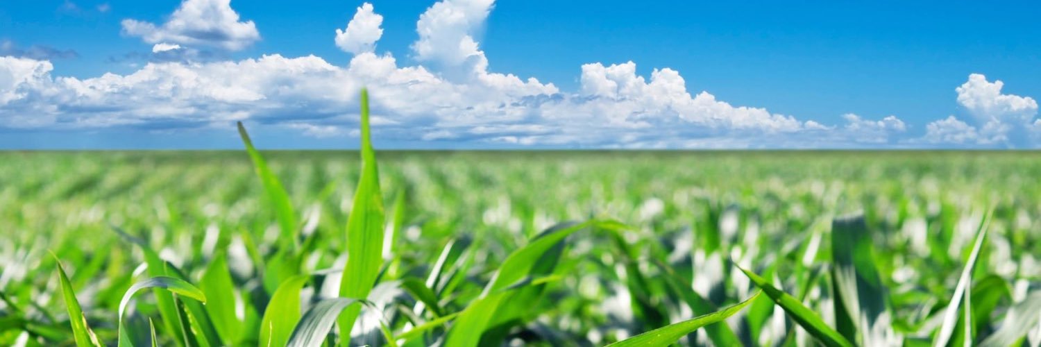 Welfare in azione banner