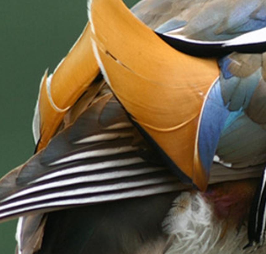 lyleram's profile banner image
