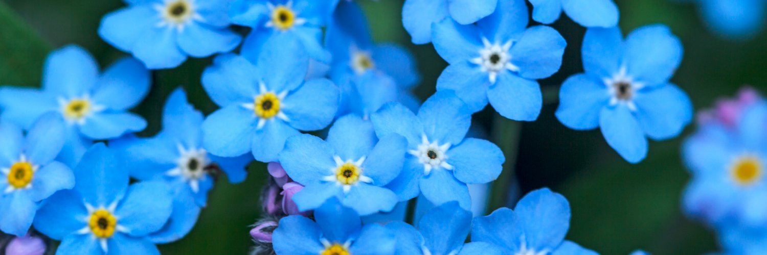 AlzheimerNB's profile banner image