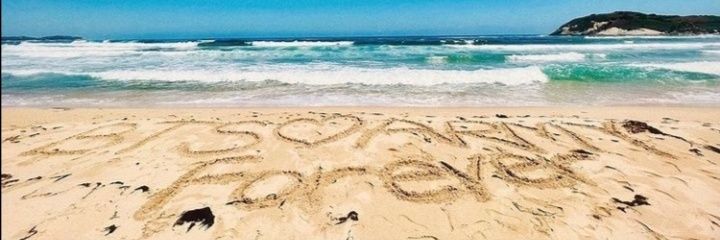 PurpleBangtAnne's profile banner image