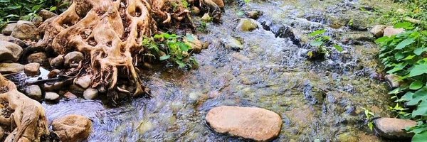 Environment_Ke Profile Banner