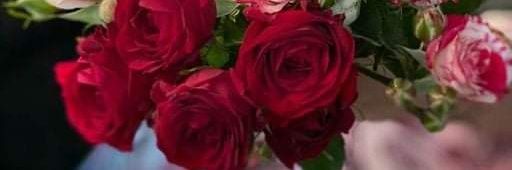 sallysaad82's profile banner image