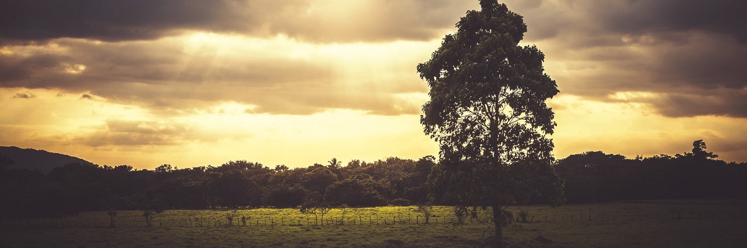 ArielRodS's profile banner image