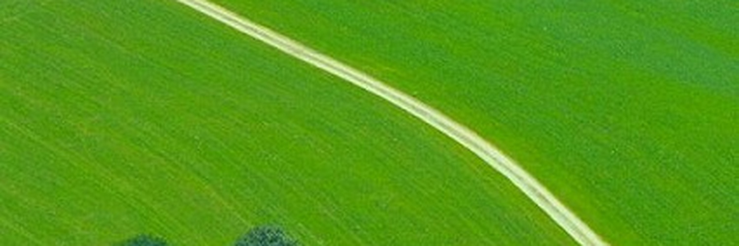chennyann's profile banner image