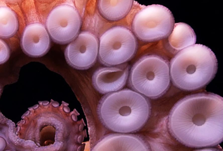 nadeleen's profile banner image