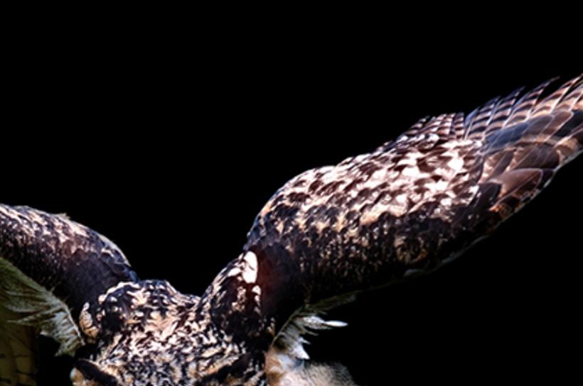heraacrop's profile banner image