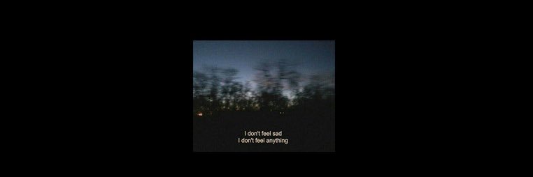 𝑁𝑂𝐴 ¹ᴰ banner