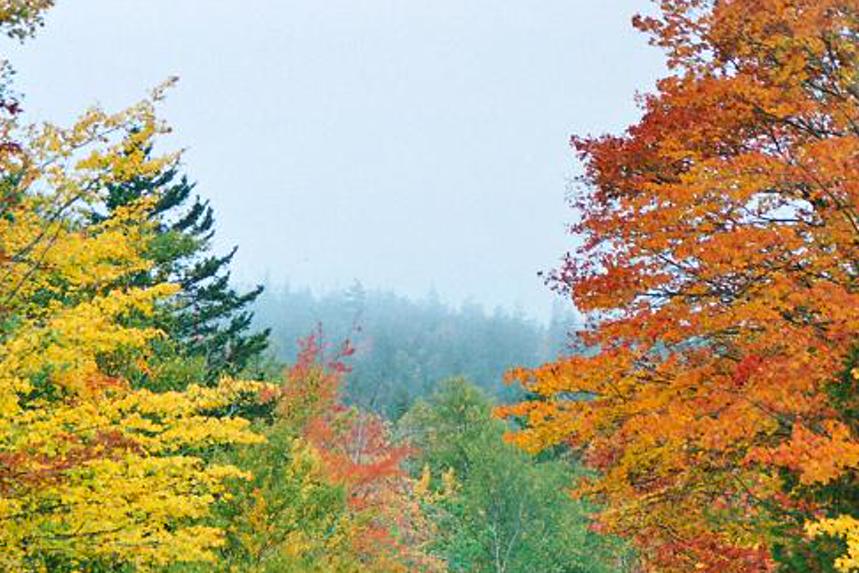 erotega's profile banner image