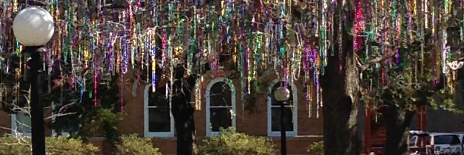 EEPTulane's profile banner image