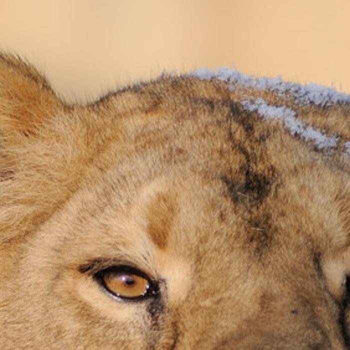 rioriagra's profile banner image