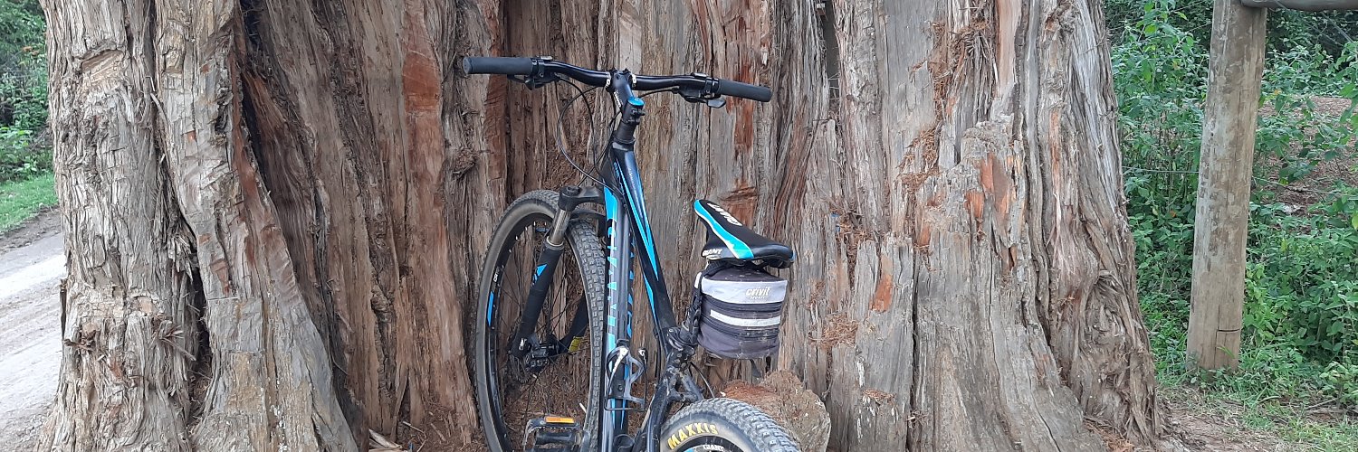 Felix Mutunga banner