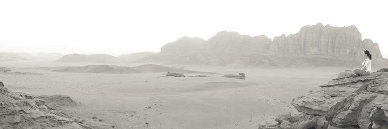 Petra Spörker banner